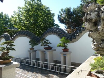 Le jardin japonais de Montréal - Québec