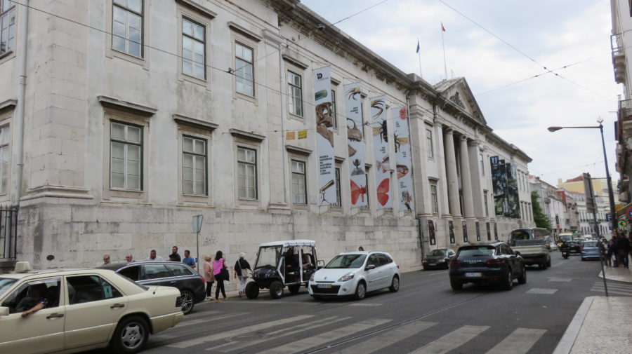 Musée national d'histoire naturelle