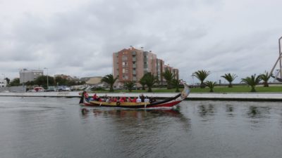 Aveiro - Les moliceiros