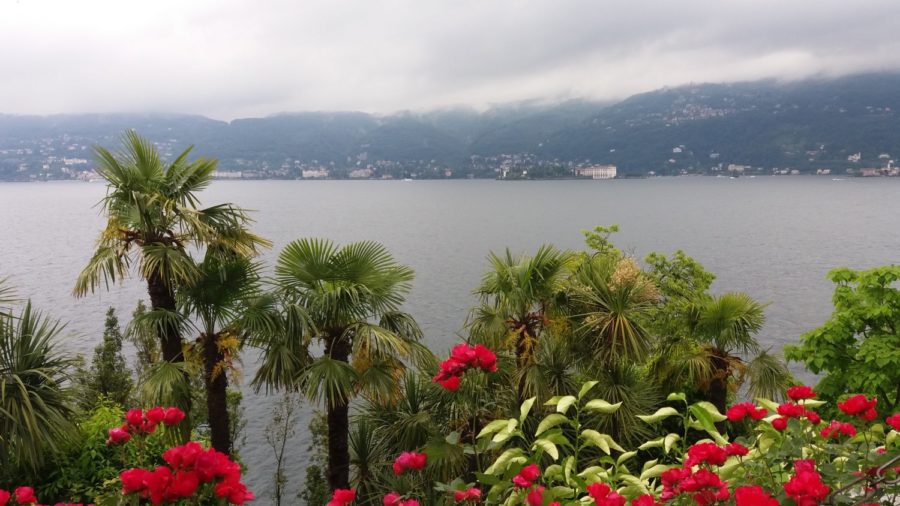 Les jardins d'Isola Madre (îles Borromées)