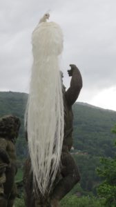 Paon blanc dans les jardins d' Isola Bella (îles Borromées)