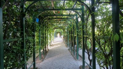 Allée d'orangers - villa Carlotta