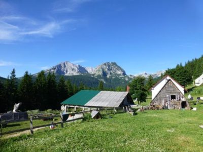Camp Mlinsky Potok - Zabljak (Monténégro)