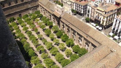 Vue sur le Patio de los Naranjos depuis la Giralda
