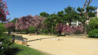 Les jardins de Séville