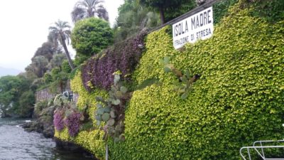 Les jardins d'Isola Madre (îles Borromées)