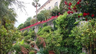 Les jardins d'Isola Madre (îles Borromées)