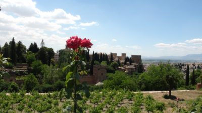 Les jardins de l'Alhambra