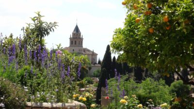Les jardins de l'Alhambra