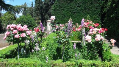 Les fleurs des jardins de l'Alhambra