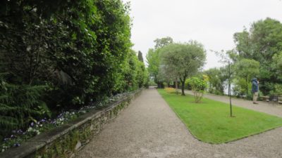 Les jardins d'Isola Madre (îles Borromées)