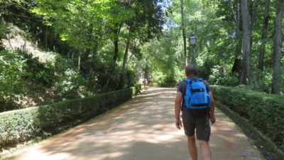 Sentier vers l'Alhambra de Grenade