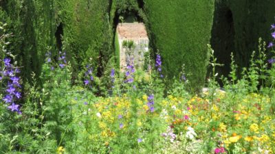 Fleurs des jardins de l'Alhambra - Grenade