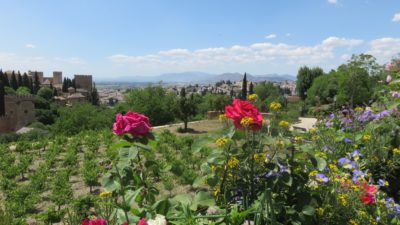 Fleurs des jardins de l'Alhambra - Grenade