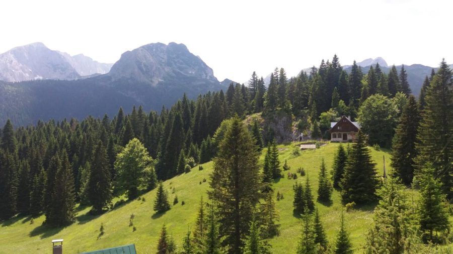 Vue depuis le camp Mlinsky Potok - Parc du Durmitor (Monténégro)