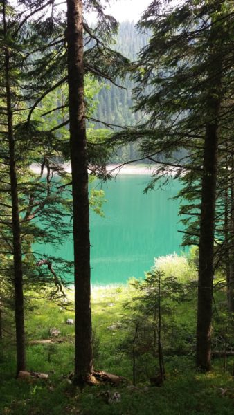 Le Lac Noir - Parc du Durmitor (Monténégro)