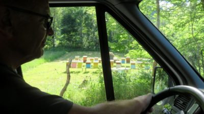 Beaucoup de ruches sur la route entre Podgorica et Zabljak - Monténégro