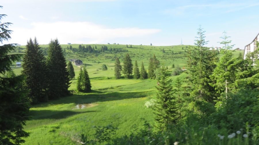 Sur le plateau du parc de Durmitor - Monténégro
