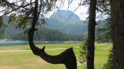 Le Lac Noir - Parc du Durmitor (Monténégro)