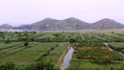 La plaine verdoyante près de Klek - Croatie