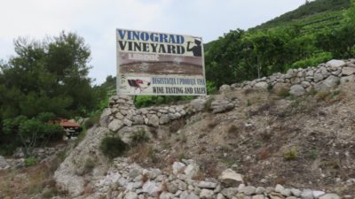 Des vignobles partout - Presqu'île de Peljesac