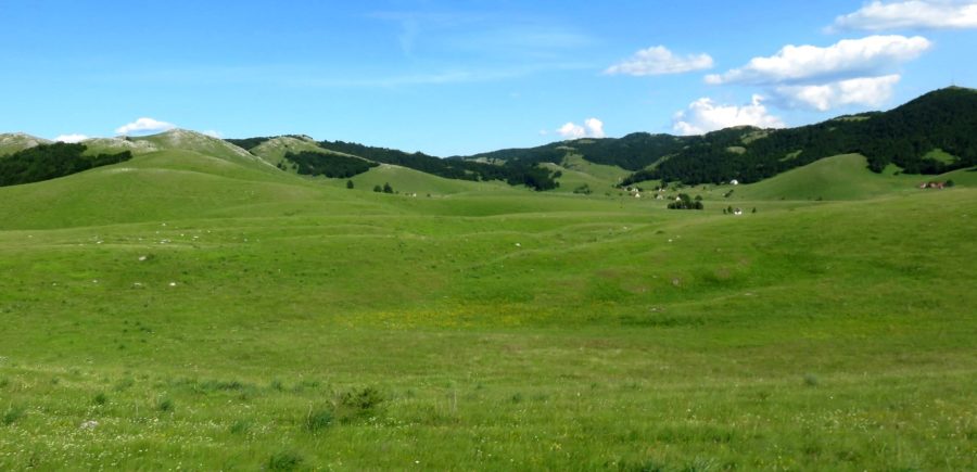 Sur le plateau du parc de Durmitor - Monténégro