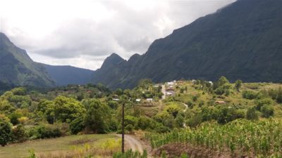Vue depuis notre gite de Mare à Citrons