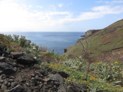 Ponta de Sao Lourenço - Madère