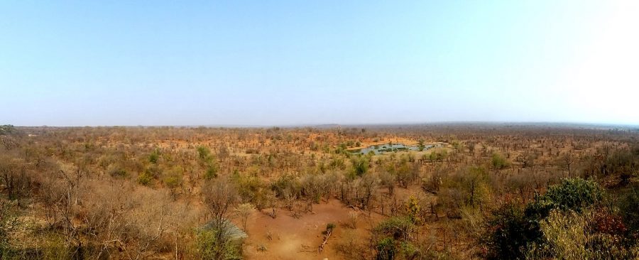 Vue depuis le lodge Lokuthula - Victoria Falls (Zimbabwe)