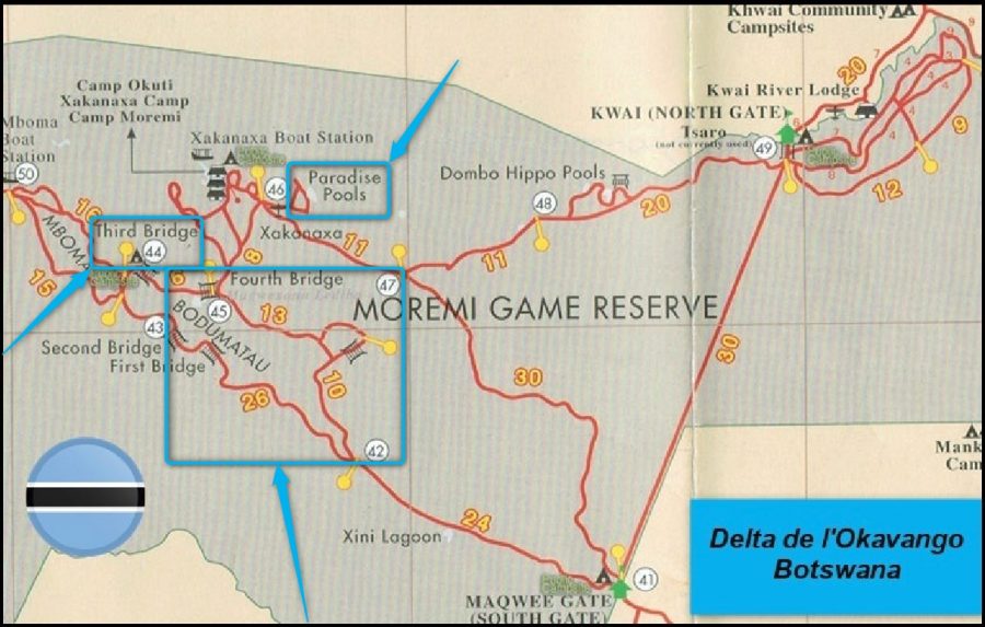 Moremi Game Réserve - Botswana