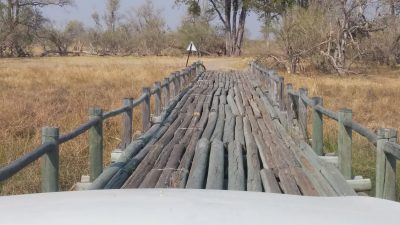 The fourth Bridge - Réserve de Moremi (Botswana)