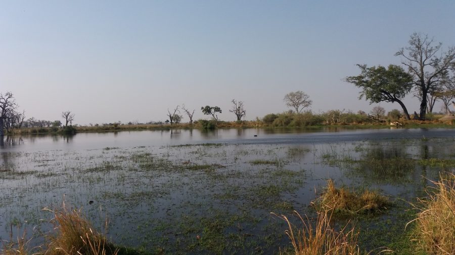 Paradise Pools - Réserve de Moremi (Botswana)