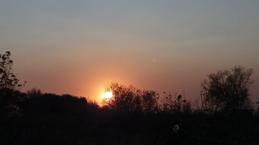Coucher de soleil sur le campsite de Third Bridge - Réserve de Moremi (Botswana)