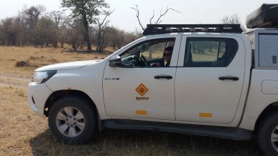 Dans la Réserve de Moremi (Botswana)
