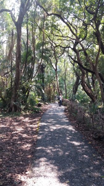 Sur le sentier le long des Victoria Falls - Zimbabwe