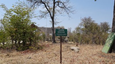Sur la piste de la réserve de Moremi (Botswana)