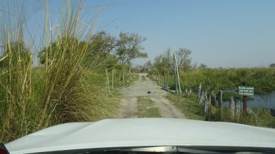 The Third Bridge - Réserve de Moremi (Botswana)