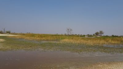 Paradise Pools - Réserve de Moremi (Botswana)