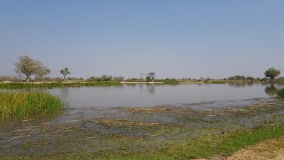 Paradise Pools - Réserve de Moremi (Botswana)