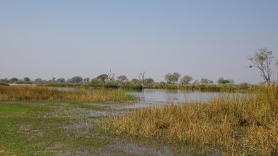 Paradise Pools - Réserve de Moremi (Botswana)