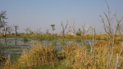 Paradise Pools - Réserve de Moremi (Botswana)