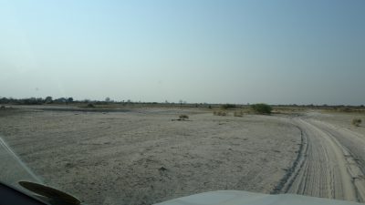Sur la piste de la Réserve de Moremi (Botswana)