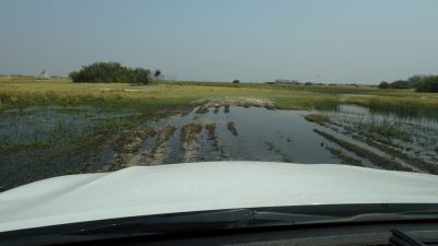 Paysage de la Réserve de Moremi (Botswana)