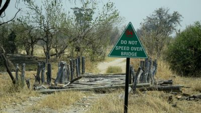 First Bridge - Réserve de Moremi (Botswana)
