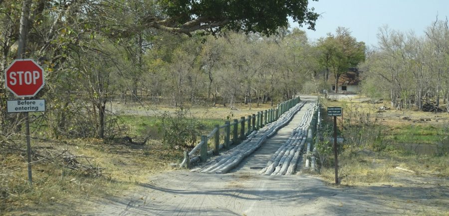 Gué entre Khwai et North Gate (Botswana)