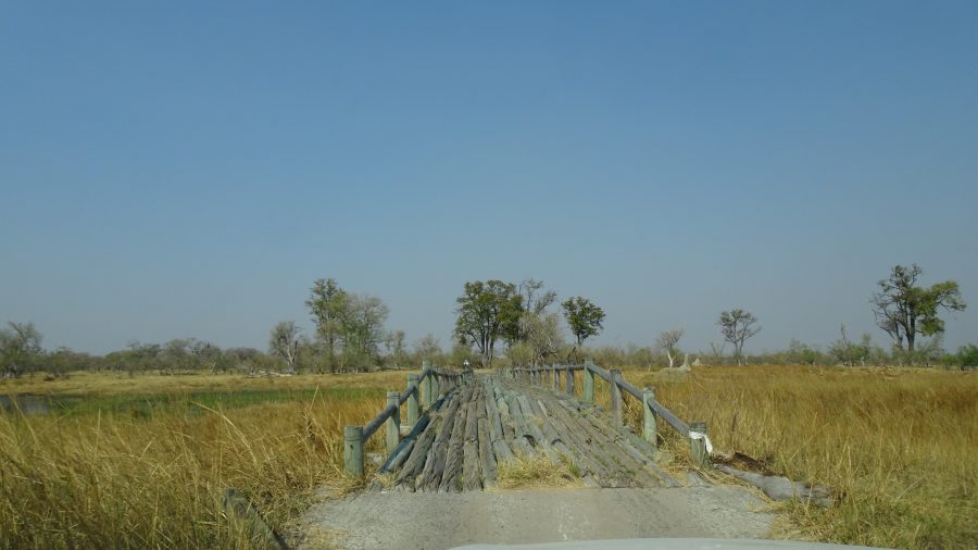 Fourth Bridge - Réserve de Moremi (Botswana)