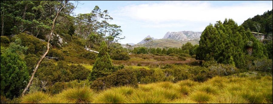 La Tasmanie - Australie