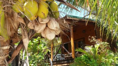 Gite A la petite Baie - Lifou (Nlle Calédonie)