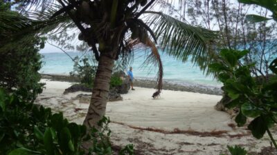 Gite A la petite Baie - Lifou (Nlle Calédonie)