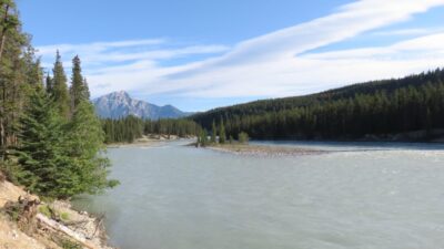 La rivière Athabasca au Wapiti Campground - Jasper (Canada) La rivière Athabasca au Wapiti Campground - Jasper (Canada)